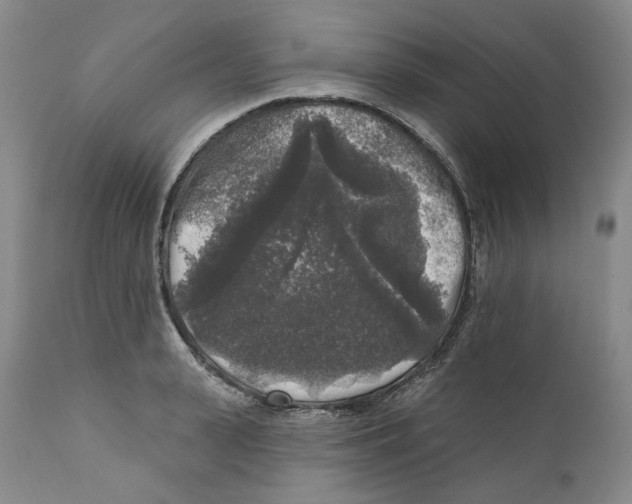 X0000112360943200909101253