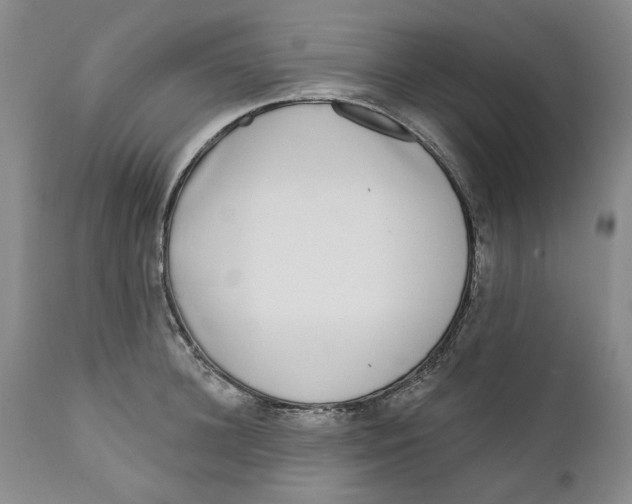 X0000112360948200909101253
