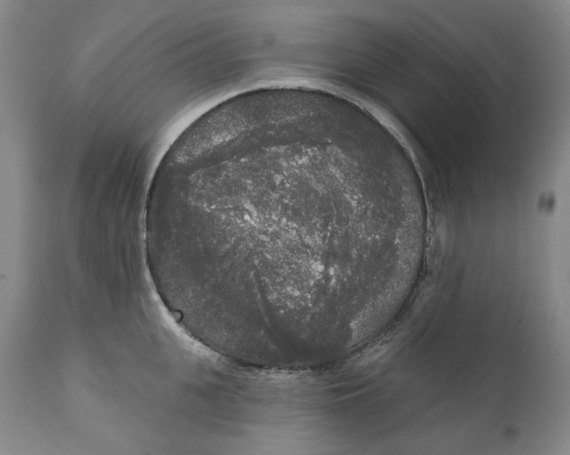 X0000112360951200909101253