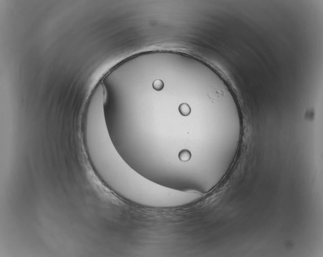 X0000112360952200909101253