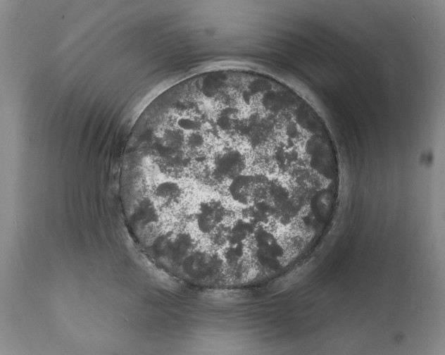 X0000112360953200909101253