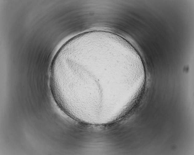 X0000112360955200909101253