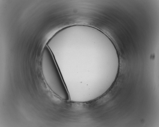 X0000112360956200909101253