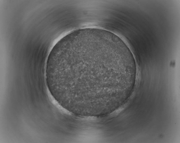 X0000112360957200909101253