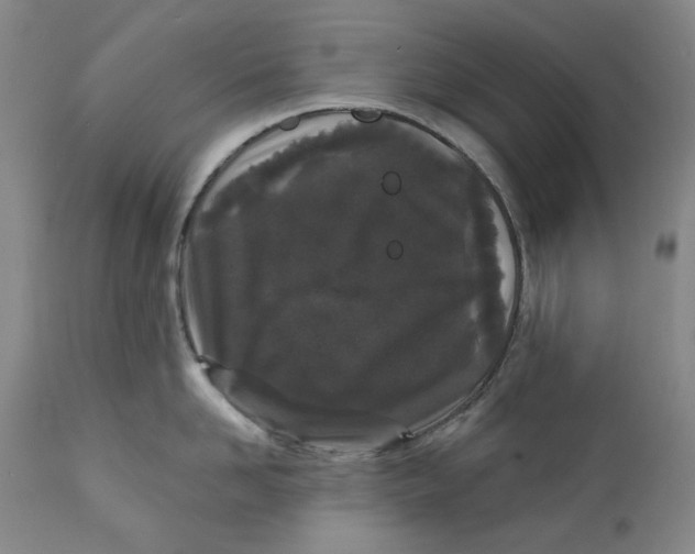 X0000112360958200909101253