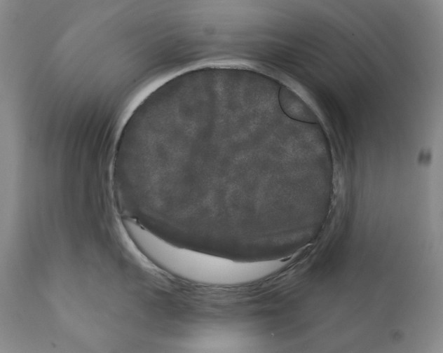 X0000112360959200909101253