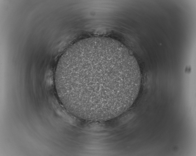 X0000112360962200909101252