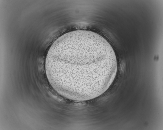 X0000112360964200909101252