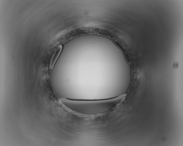 X0000112360965200909101252