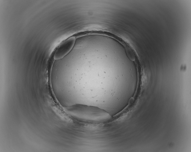 X0000112360973200909101252