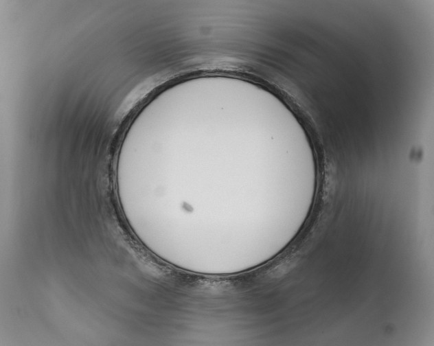 X0000112360978200909101252