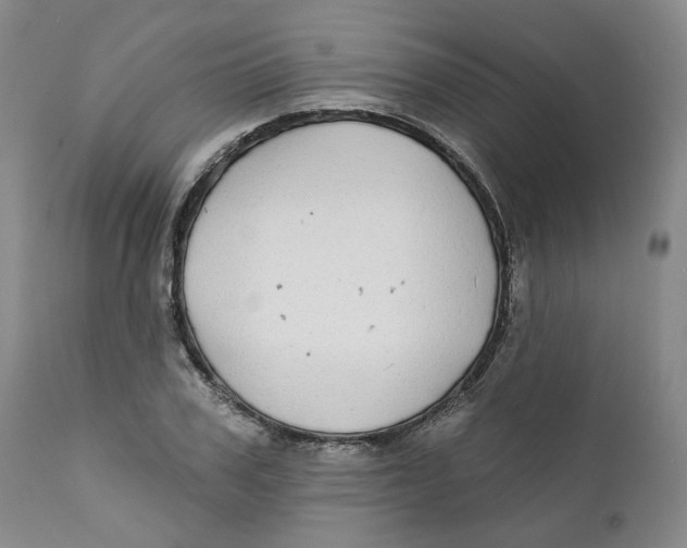 X0000112360979200909101252