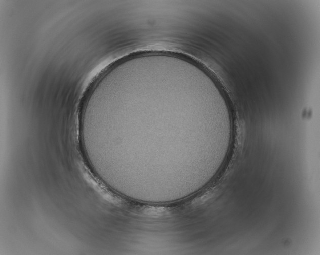 X0000112360982200909101252