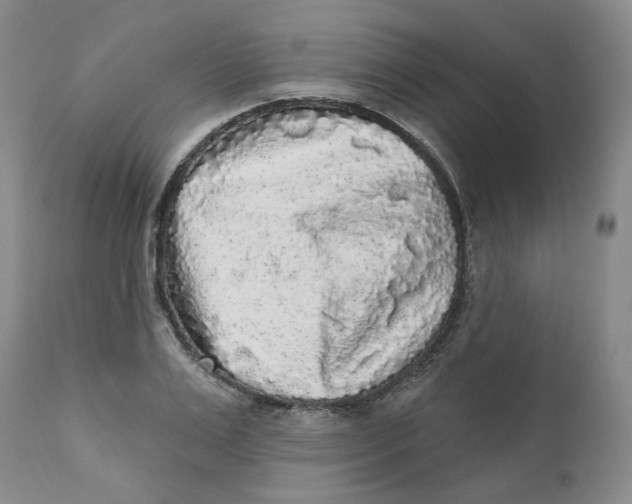 X0000112360983200909101252