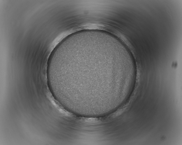 X0000112360986200909101252
