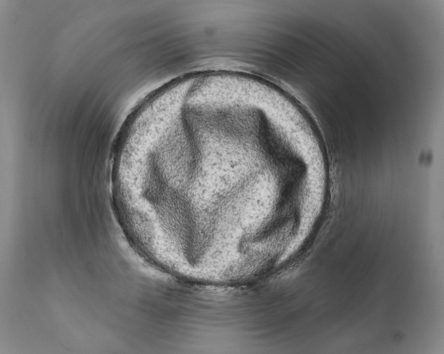 X0000112360987200909101252