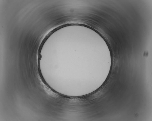 X0000112360988200909101252