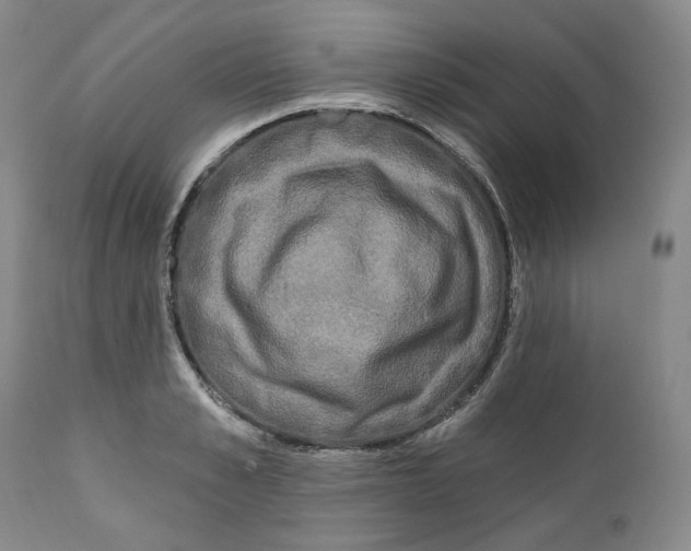 X0000112360989200909101252