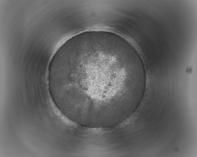 X0000112360990200909101252