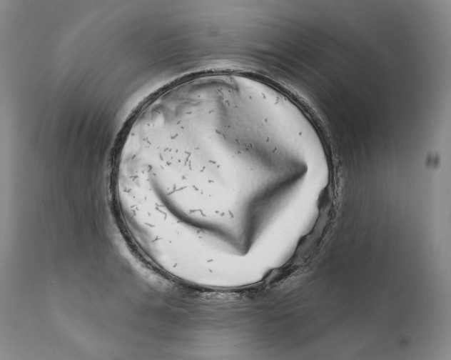 X0000112360991200909101252
