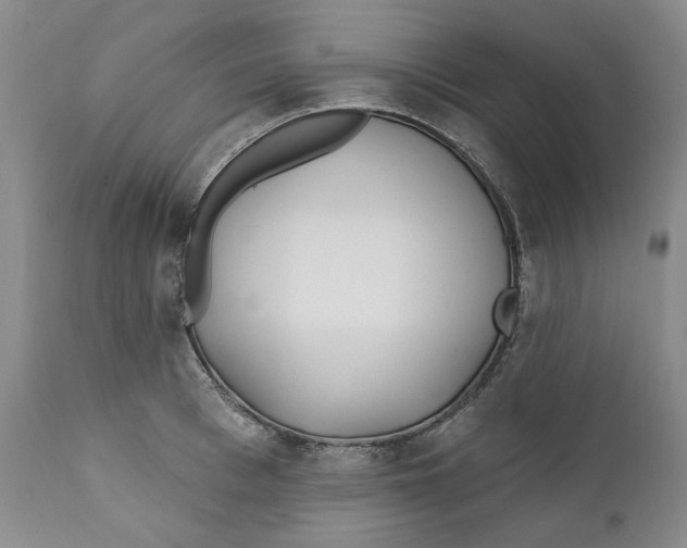 X0000112360993200909101252