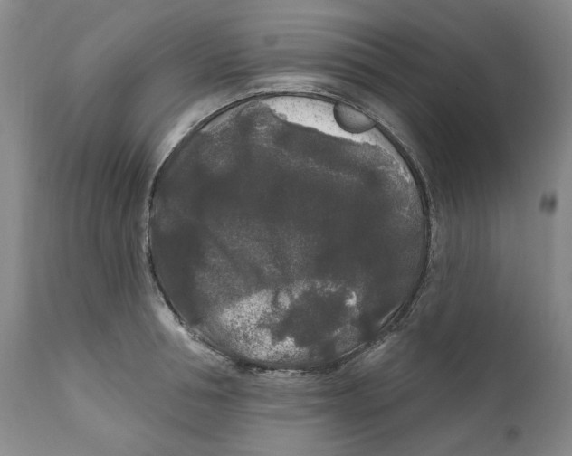 X0000112360994200909101252