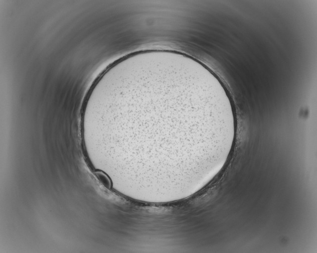 X0000112360996200909101252