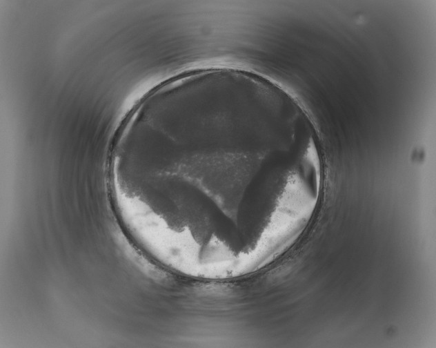 X0000112360998200909101252