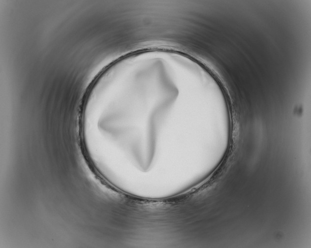 X0000112360999200909101252