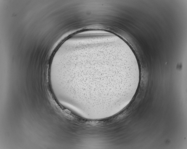 X0000112361000200909101252