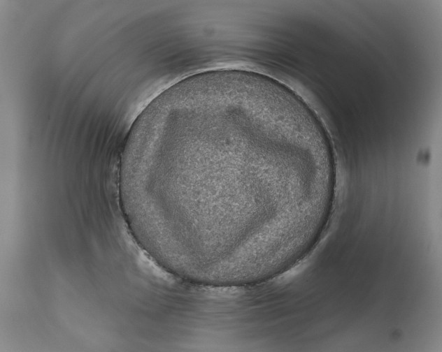 X0000112361001200909101252