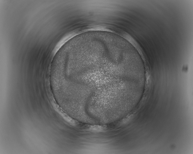 X0000112361002200909101252