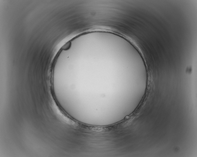 X0000112361003200909101252