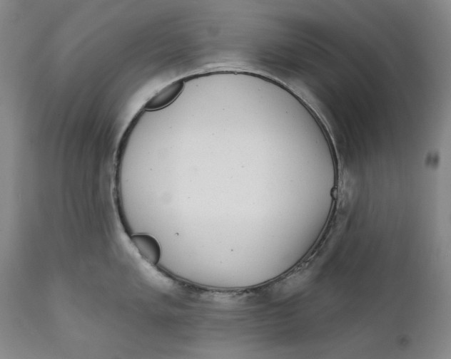 X0000112361005200909101252