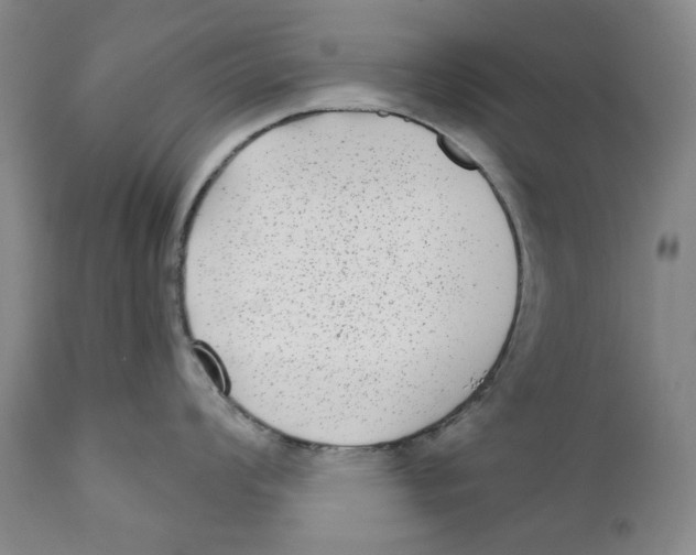 X0000112361008200909101252