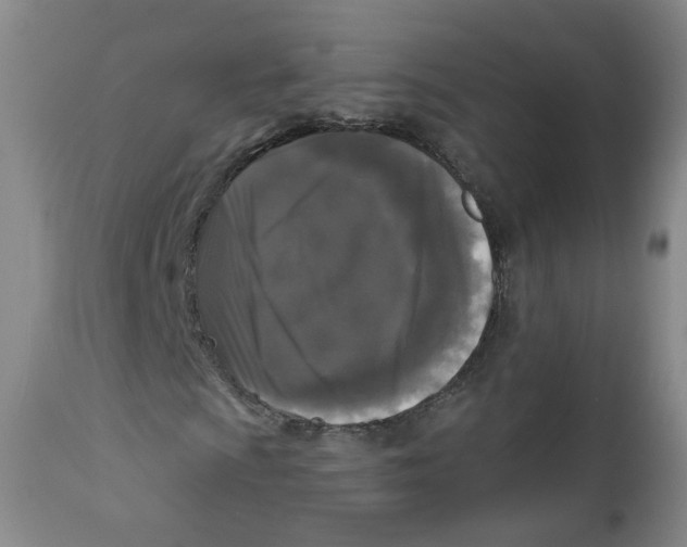 X0000112361009200909101251