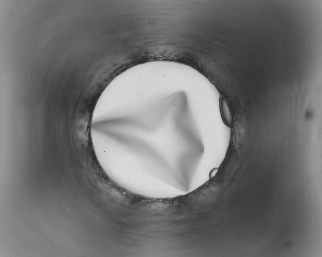 X0000112361010200909101251