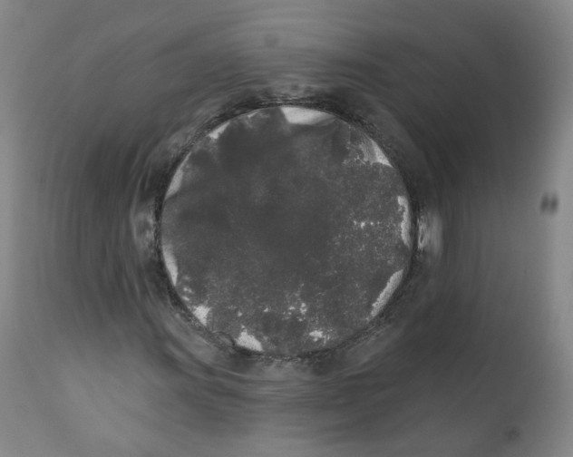 X0000112361011200909101251