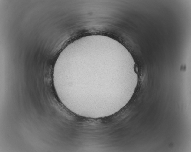 X0000112361012200909101251
