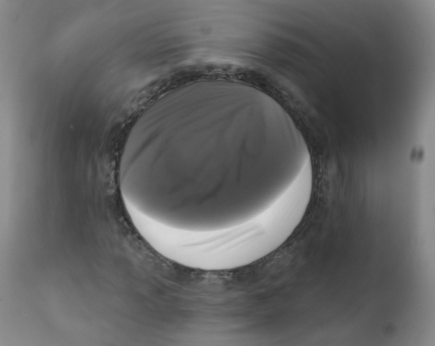 X0000112361013200909101251