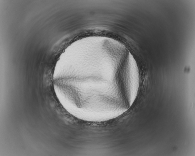 X0000112361014200909101251