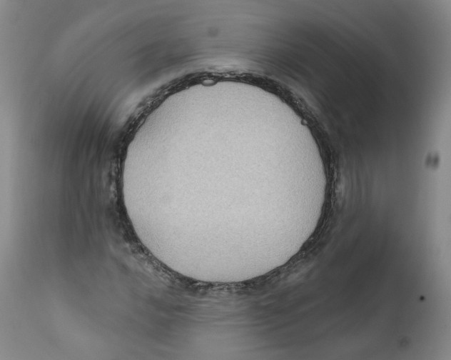 X0000112361016200909101251