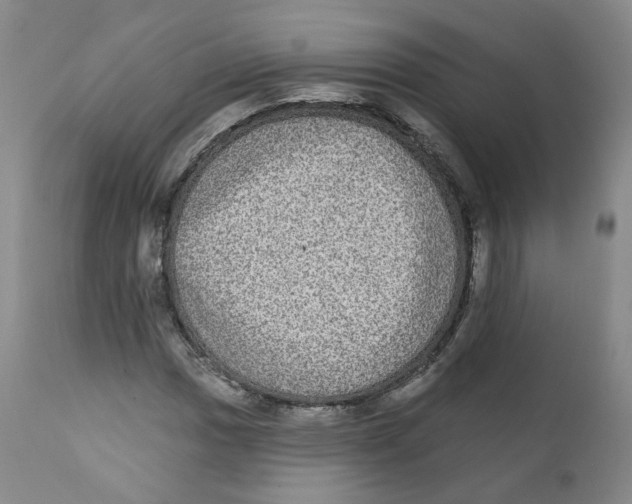 X0000112361017200909101251