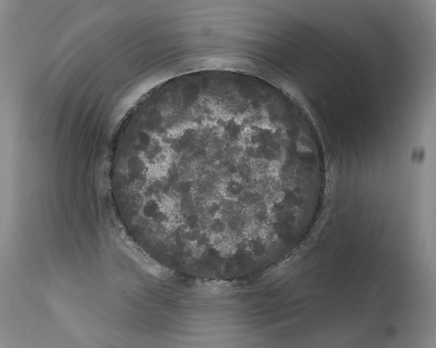 X0000112361019200909101251