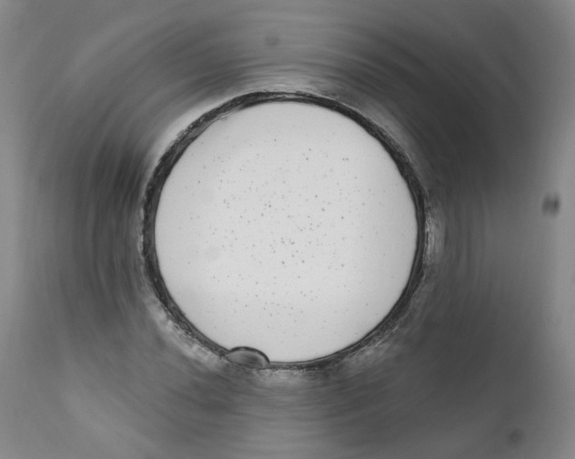 X0000112361020200909101251