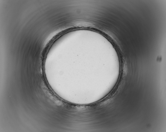 X0000112361022200909101251