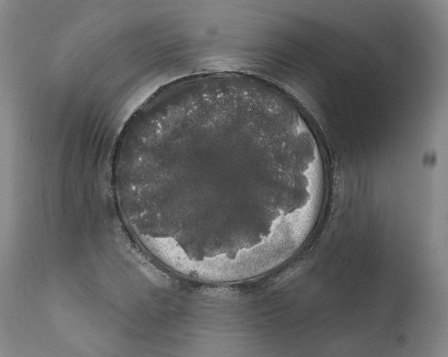 X0000112361023200909101251