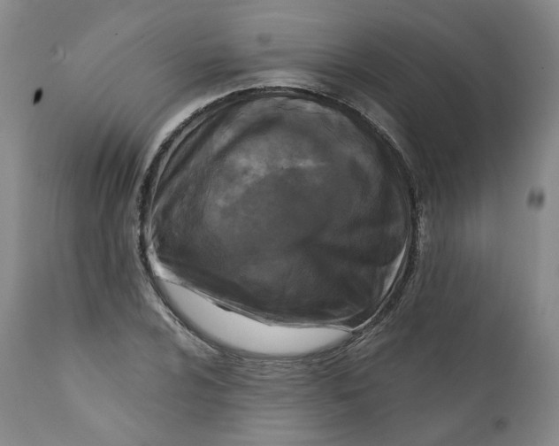 X0000112361024200909101251