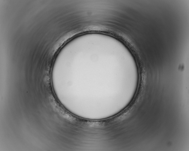X0000112361025200909101251