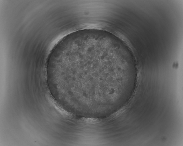 X0000112361027200909101251